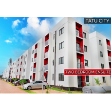 Furnished Modern 2  Bedroom Apartments at Tatu City 
